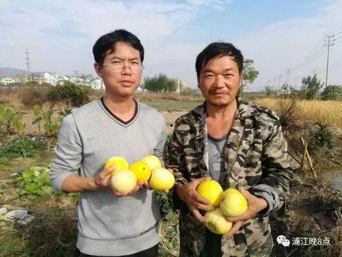 安阳吃瓜群众,揭秘街头巷尾的热辣话题