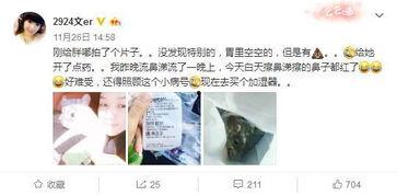 吃瓜群众老粉丝是谁啊,网络红人的神秘面纱