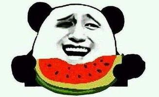 吃瓜群众麦克约瑟,吃瓜群众的趣味生活与独特见解