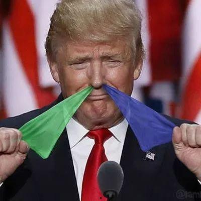 吃瓜群众麦克约瑟,吃瓜群众的趣味生活与独特见解