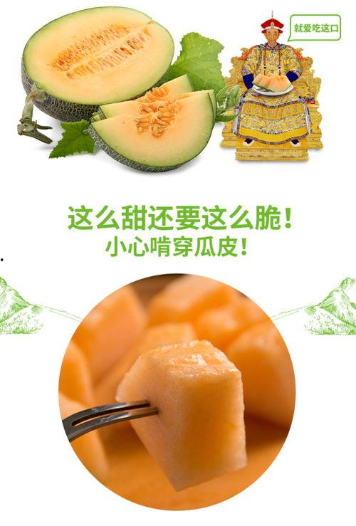 吃瓜群众吃芒果,甜蜜诱惑,共享欢乐时光