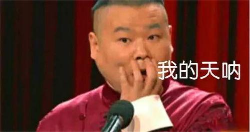 岳云鹏吃瓜群众,揭秘娱乐圈背后的“瓜田”趣事