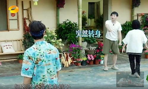 武德吃瓜群众事件真相,揭秘背后真相与争议