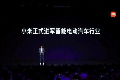 雷军直播吃瓜群众视频下载,一场别开生面的互动盛宴