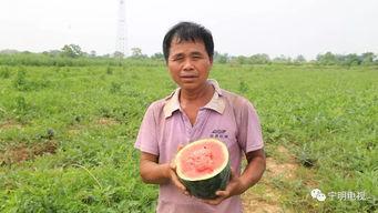 道具只想做个吃瓜群众怎么办,做一个旁观者的吃瓜日常