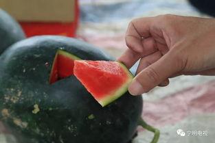 道具只想做个吃瓜群众怎么办,做一个旁观者的吃瓜日常